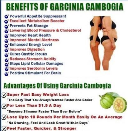 Garcinia Cambogia Benefits Garcinia Cambogia Benefits