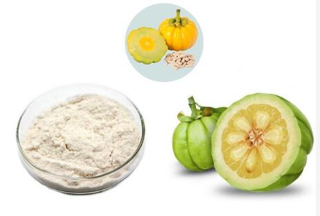 Garcinia Cambogia Powder Garcinia Cambogia Powder
