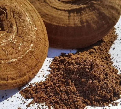 Manifatturi ta 'l-Estratt tal-Faqqiegħ Reishi: Proċessi ta' Estrazzjoni u Ittestjar tal-Potenza