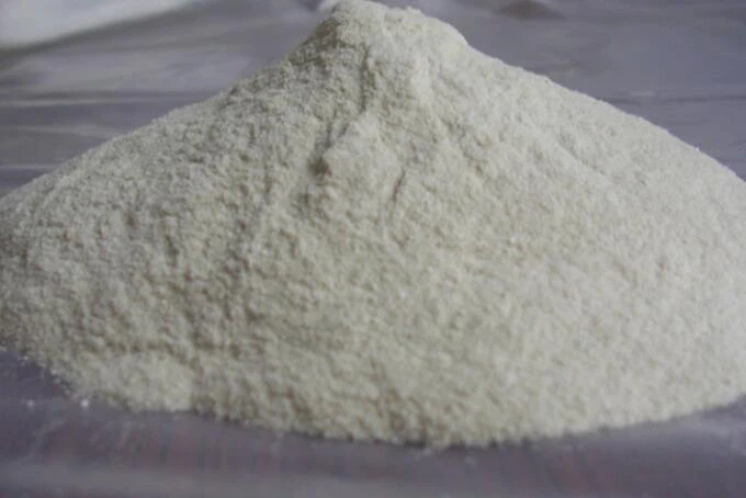 Estratt tal-Chondrus Crispus (Carrageenan)