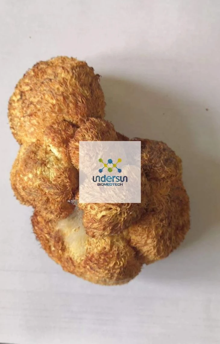 Hericium extract manufacturers