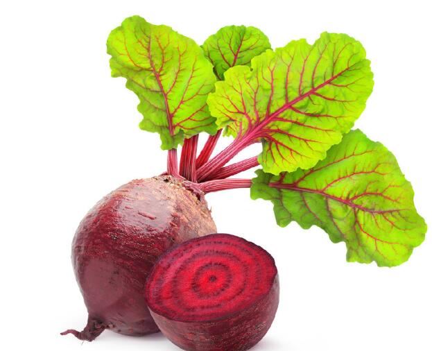 Fatti dwar in-Nutrizzjoni tat-Trab tal-Pitravi