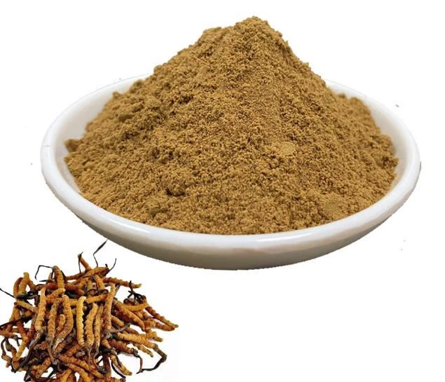 Estratt tal-Faqqiegħ Cordyceps