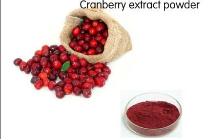 Trab tal-Estratt tal-Cranberry