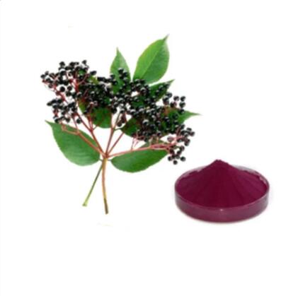 Trab tal-Meraq tal-Elderberry