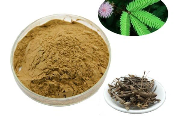 Mimosa Hostilis Root Bark Trab