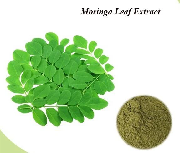 Estratt tal-Weraq tal-Moringa