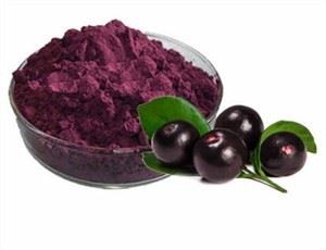 Acai Berry Trab Bulk