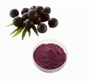 Estratt tal-Frott tal-Elderberry