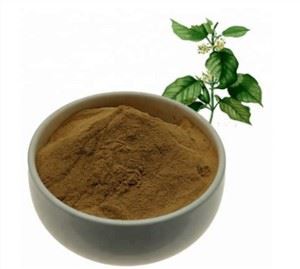 Estratt ta 'Gymnema Sylvestre