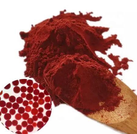 Haematococcus Pluvialis Algae Astaxanthin